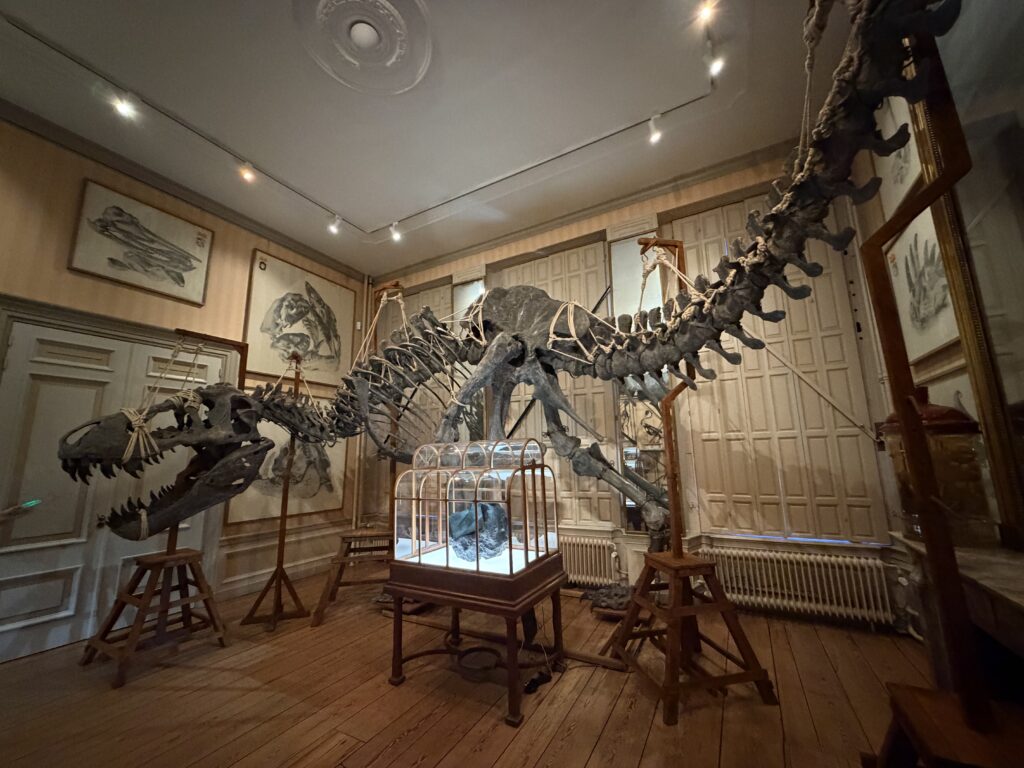 A T-Rex cast at the Art Zoo in Amsterdam.